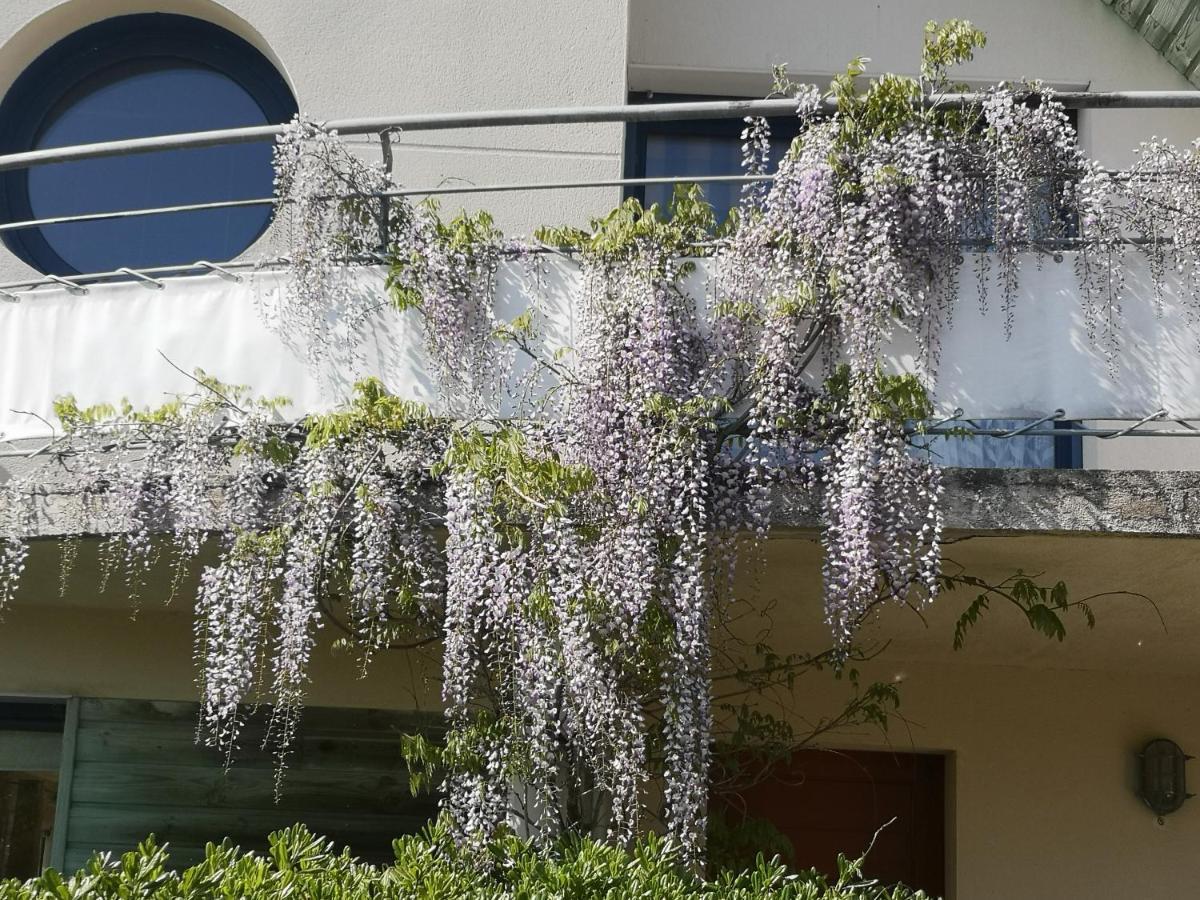 Chambre Dans Maison Fleurie Et Calme Bed & Breakfast Ploemeur Exterior photo