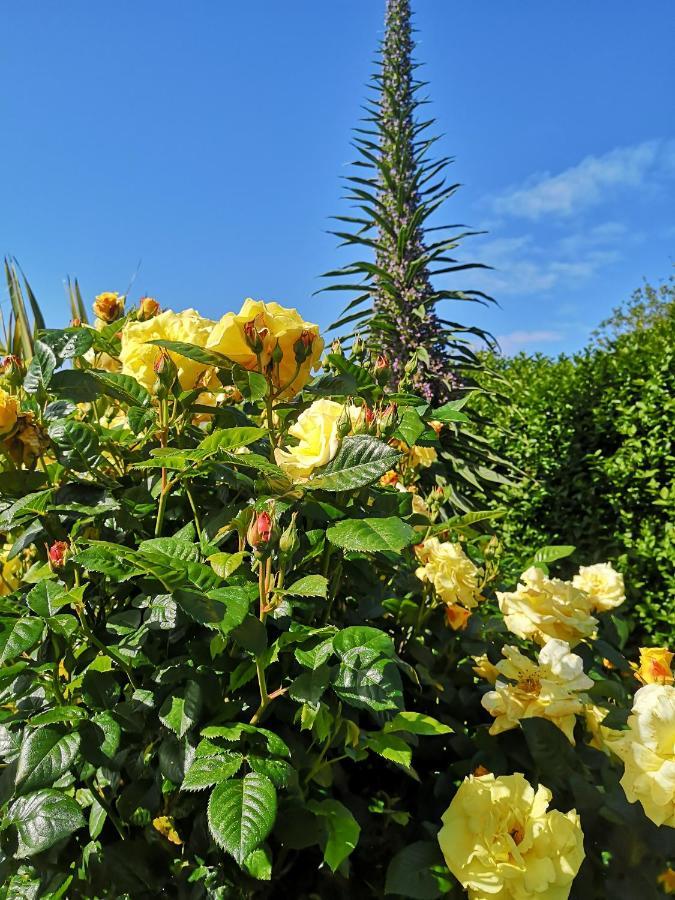 Chambre Dans Maison Fleurie Et Calme Bed & Breakfast Ploemeur Exterior photo